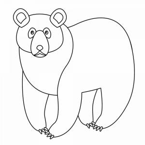 Раскраска медведь для детей для 3 лет #14 #392409
