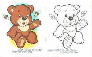 Раскраска медведь для детей для 3 лет #36 #392431