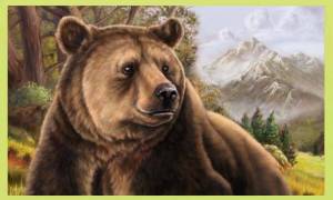Раскраска медведь рисунок #5 #392515