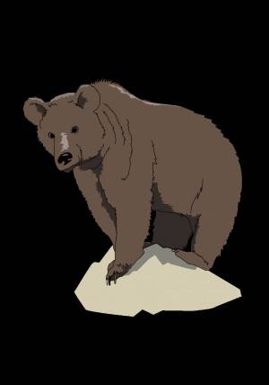 Раскраска медведь рисунок #8 #392518