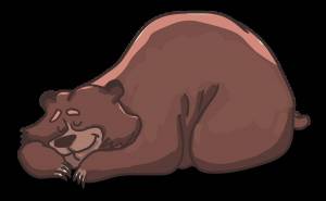 Раскраска медведь спит #24 #392637