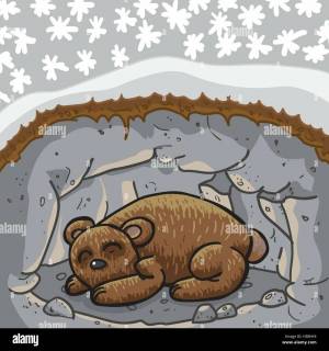 Раскраска медведь спит в берлоге #27 #392679