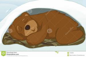 Раскраска медведь спит в берлоге #38 #392690