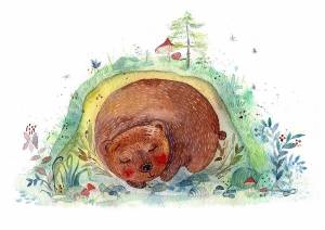 Раскраска медведь спит в берлоге для детей #14 #392705