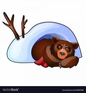 Раскраска медведь спит в берлоге для детей #20 #392711