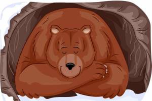 Раскраска медведь спит в берлоге для детей #23 #392714