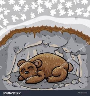 Раскраска медведь спит в берлоге для детей #37 #392728