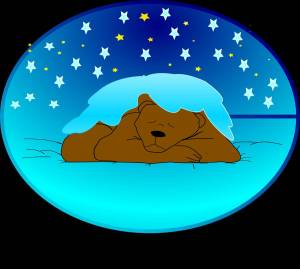 Раскраска медведь спит в берлоге для детей #38 #392729
