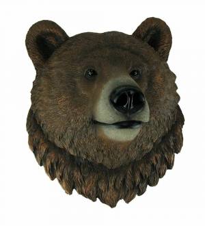 Раскраска медведя голова #4 #392771