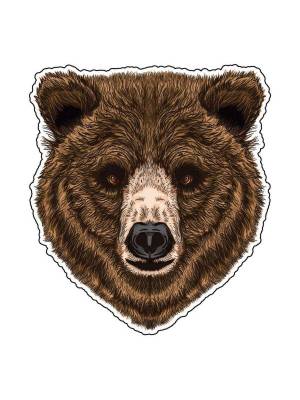 Раскраска медведя голова #8 #392775