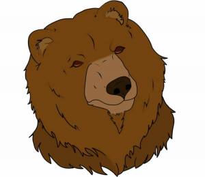 Раскраска медведя голова #20 #392787