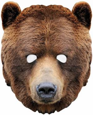 Раскраска медведя голова #26 #392793
