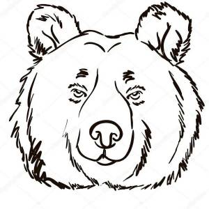 Раскраска медведя голова #31 #392798