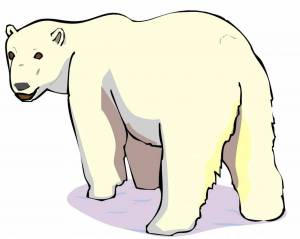 Раскраска медвежонок белый для детей #14 #392857