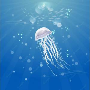 Раскраска медуза для детей #9 #393298