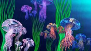Раскраска медуза для детей #13 #393302