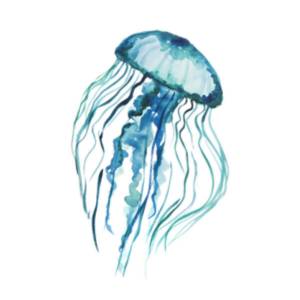Раскраска медуза для детей #18 #393307