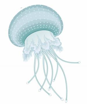 Раскраска медуза для детей #34 #393323