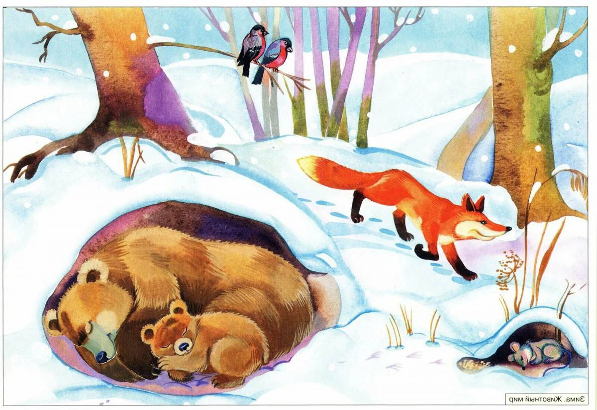 Медведь в берлоге зимой для детей #16