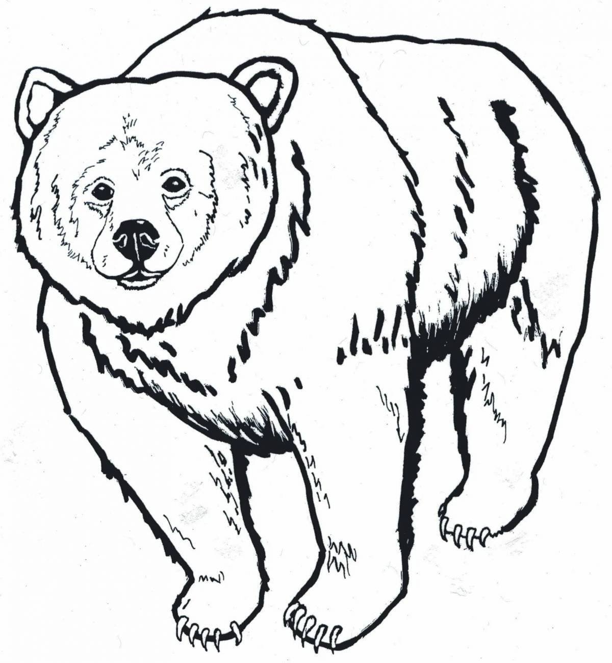 Медведь рисунок #18