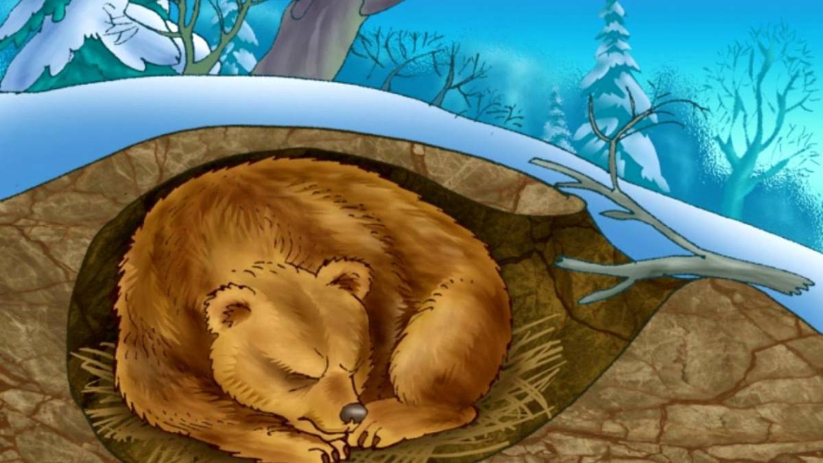Медведь спит в берлоге #1