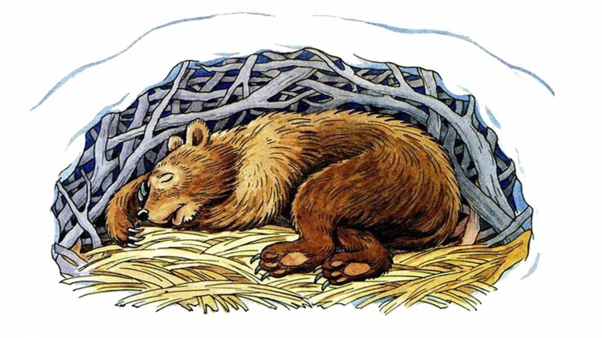 Медведь спит в берлоге для детей #35