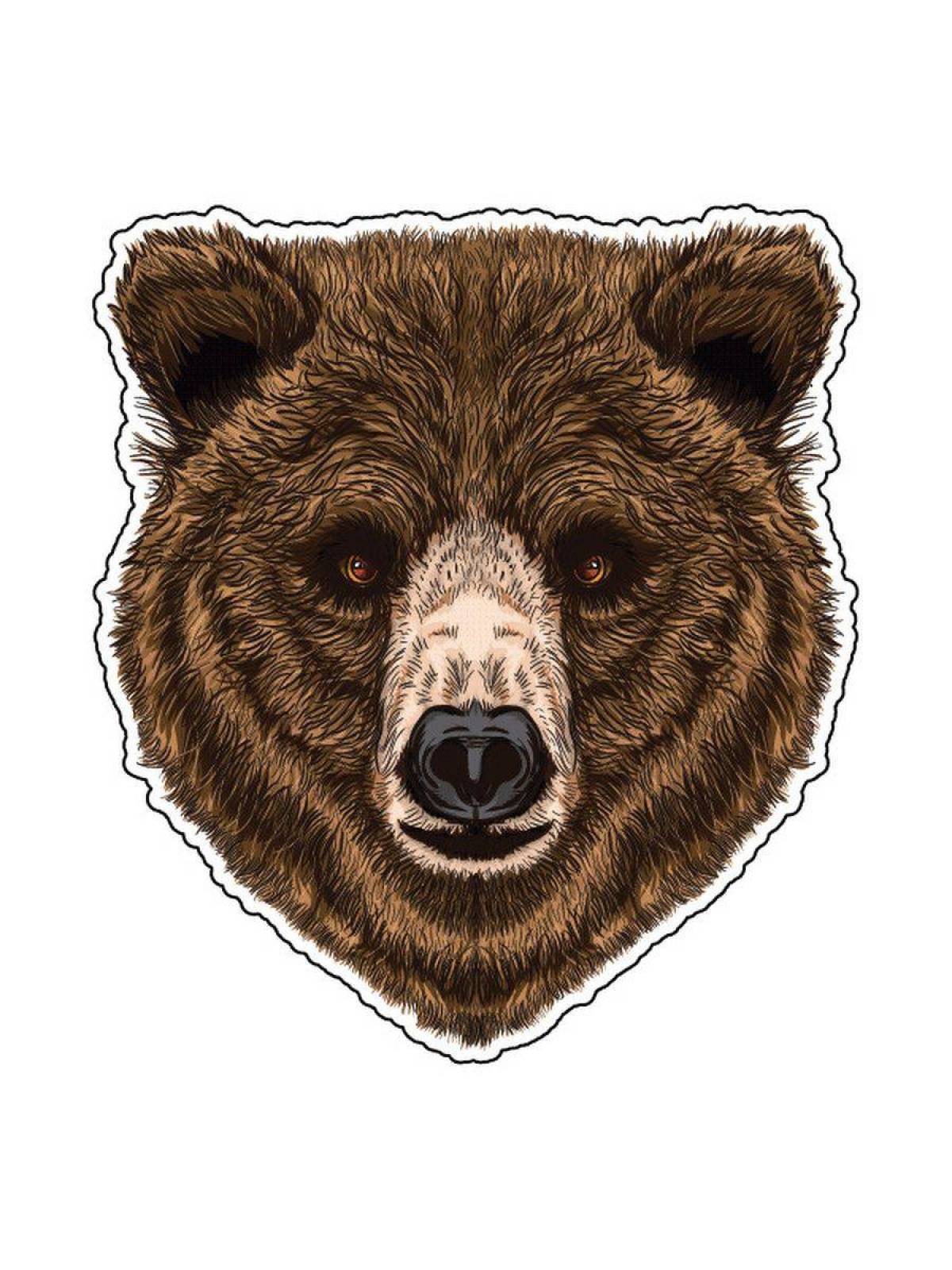 Медведя голова #8