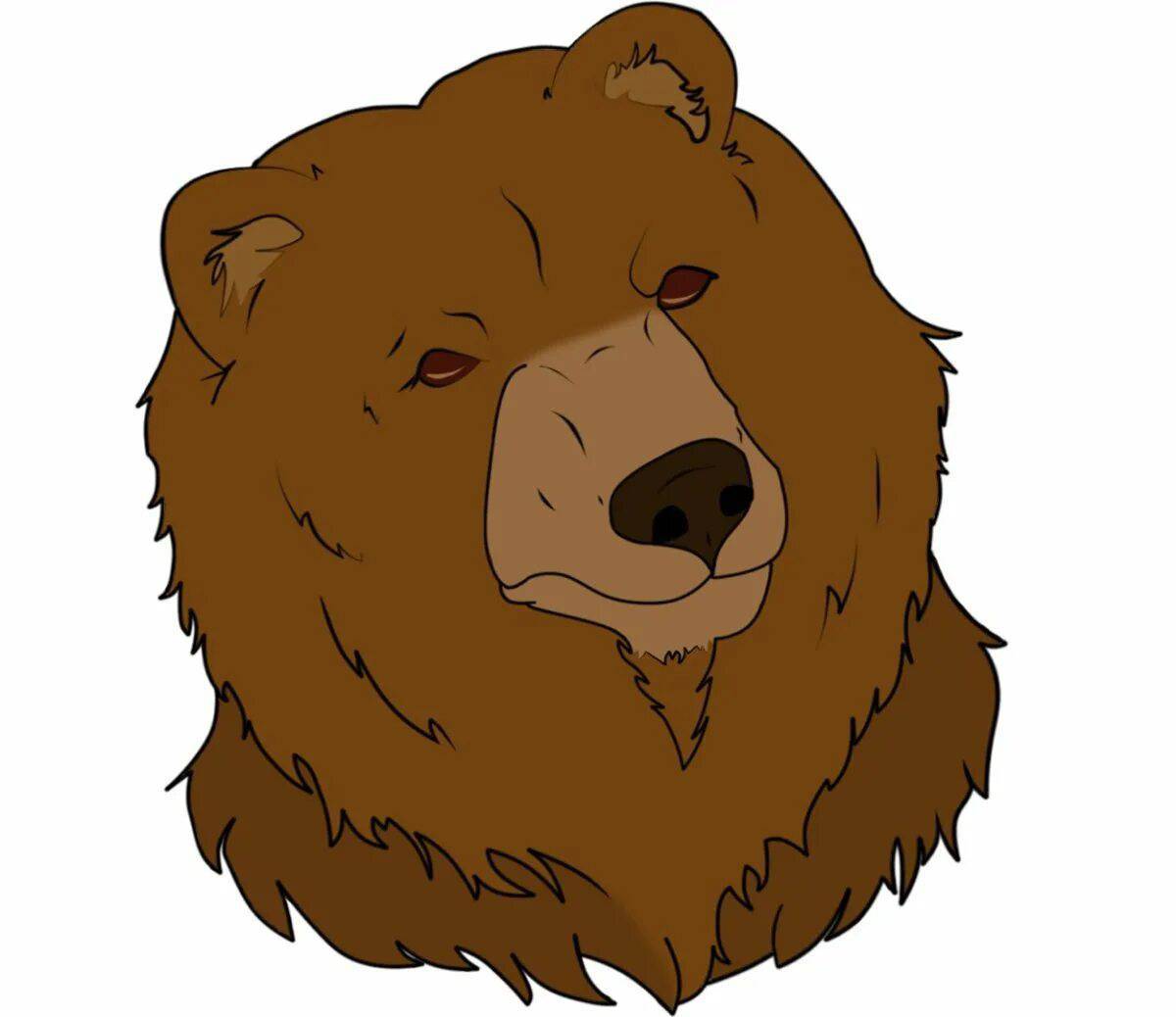 Медведя голова #20