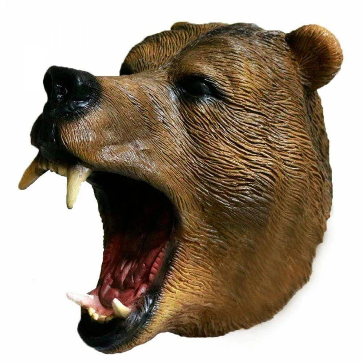 Медведя голова #21