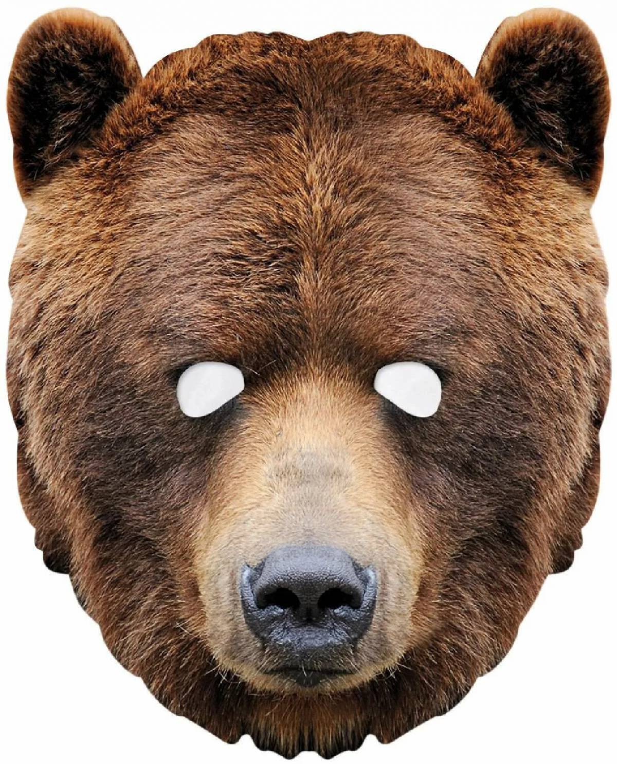 Медведя голова #26