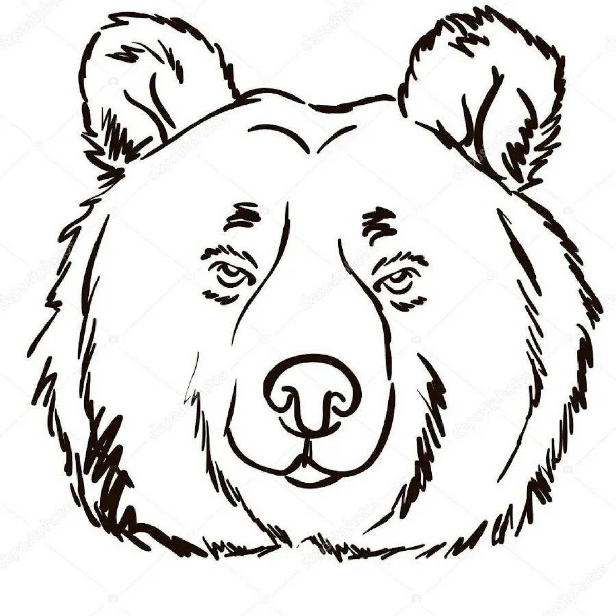 Медведя голова #31