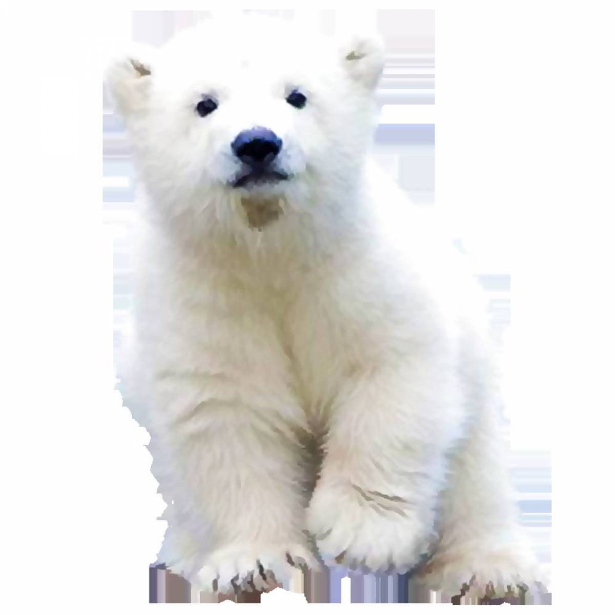 Медвежонок белый для детей #29