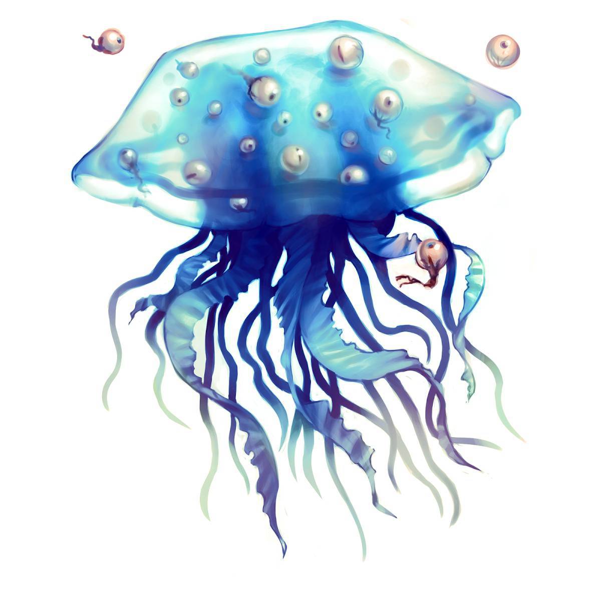 Медуза для детей #22