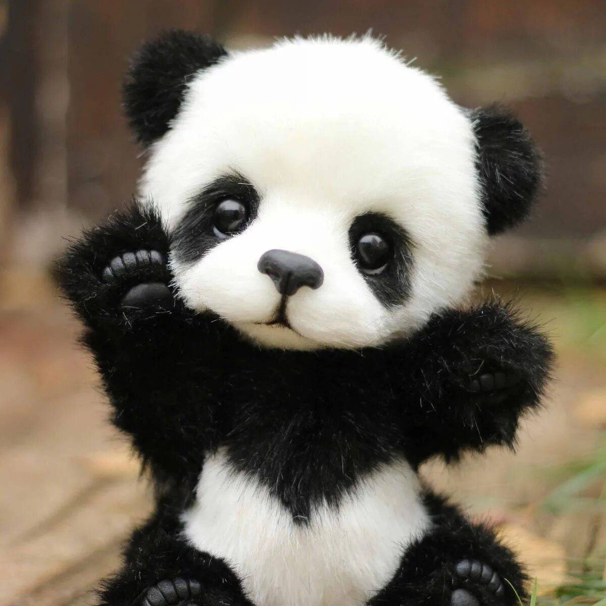 Милая панда #9